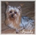 Spanky the Granddaddy to all