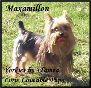 Max placed in a home