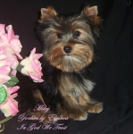 Miley pleaced in a home