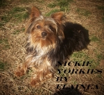 nickie placed in a home