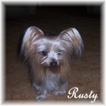 Rusty pleaced in a home