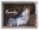 Spanky was beautiful